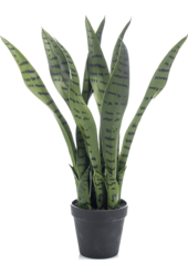 Sztuczna roślina Sansevieria