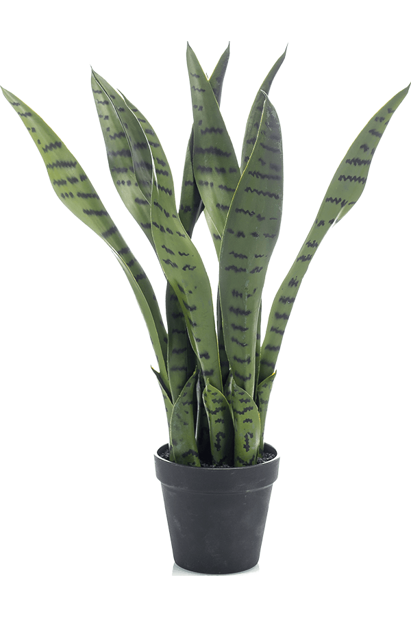 Sztuczna roślina Sansevieria