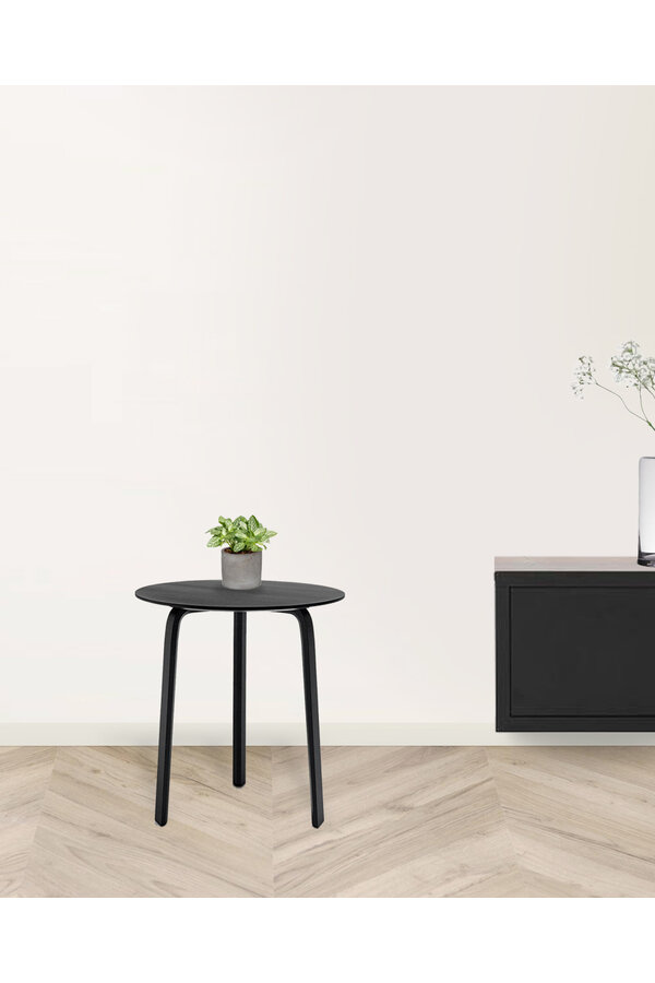 Roślinka Fittonia w ceramicznej doniczce