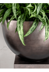 Baq Metallic Silver Leaf Bowl matowa kawa