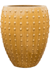 Laos Emperor Gold
