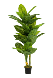 Sztuczna roślina Dieffenbachia