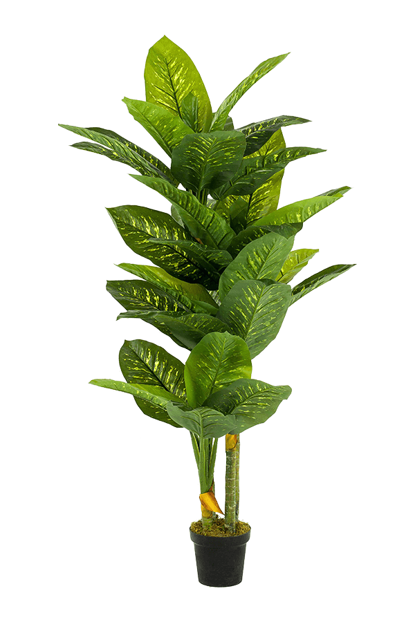 Sztuczna roślina Dieffenbachia