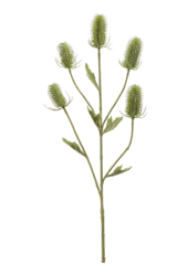 Sztuczna roślina Dipsacus