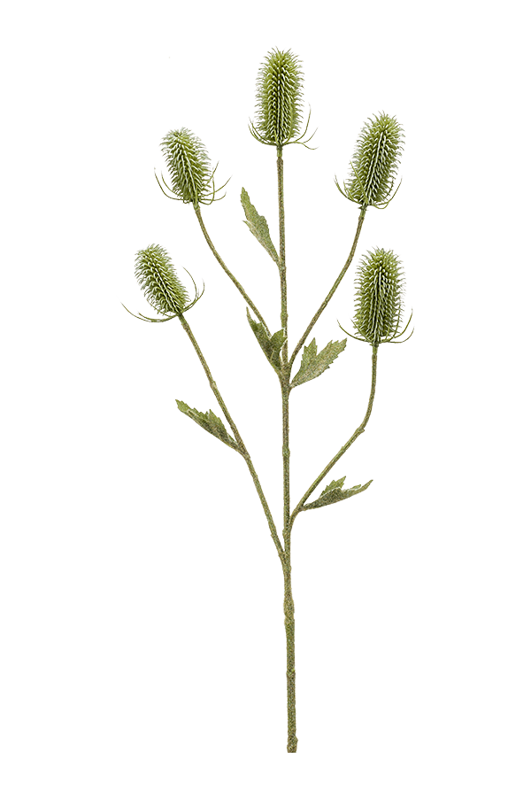 Sztuczna roślina Dipsacus