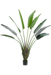 Sztuczna roślina Strelitzia