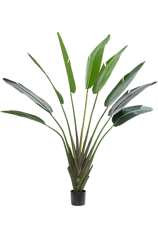 Sztuczna roślina Strelitzia
