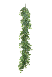 Scindapsus sztuczna roślina