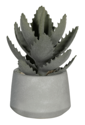 Sztuczna roślina Echeveria