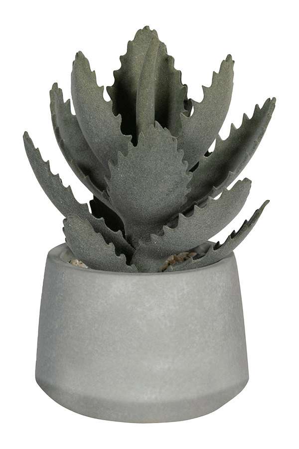 Sztuczna roślina Echeveria