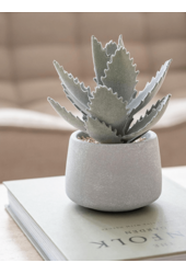 Sztuczna roślina Echeveria