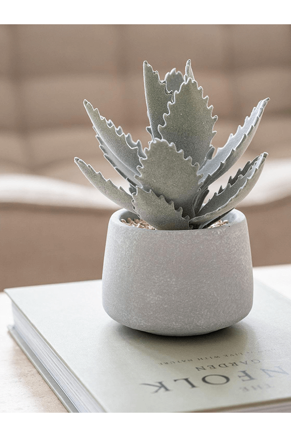 Sztuczna roślina Echeveria