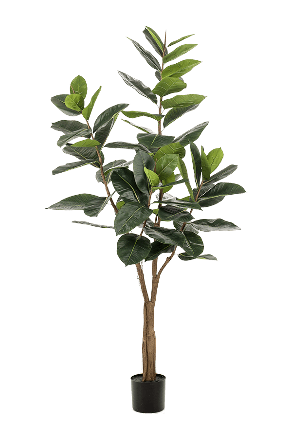 Sztuczna roślina Ficus Elastica