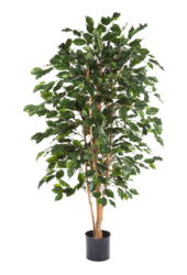 Sztuczna roślina Ficus Exotica