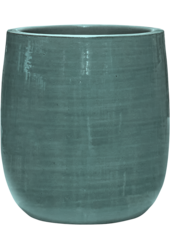 Gładki Pasiasty Darcy Aqua