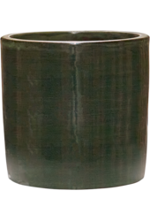 Gładka Pasiasta Cylindryczna Oliwka