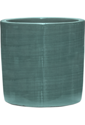 Gładka Pasiasta Cylindryczna Oliwka