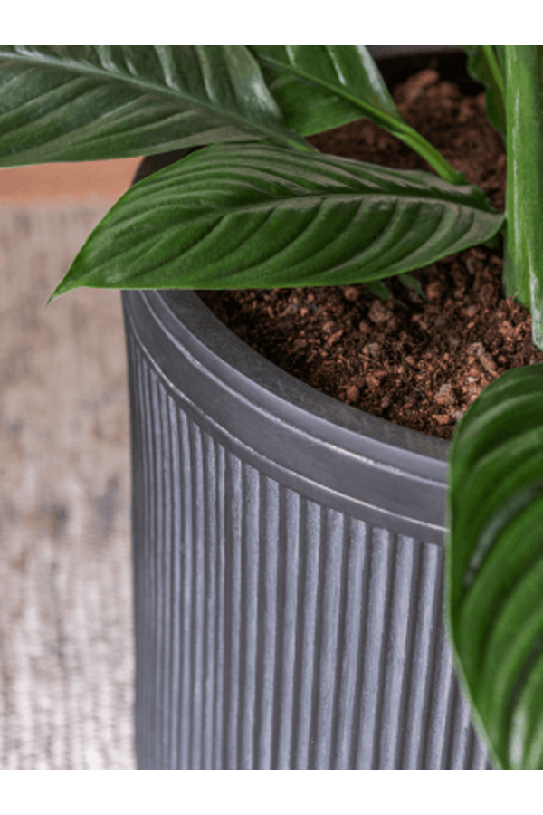 Baq Cylinder z Pionowym Żebrowaniem Antracytowy