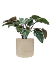 Baq Dune Cylinder Beige