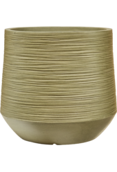 Baq Dune Darcy Green