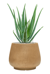 Baq Raindrop Darcy Brown Beige