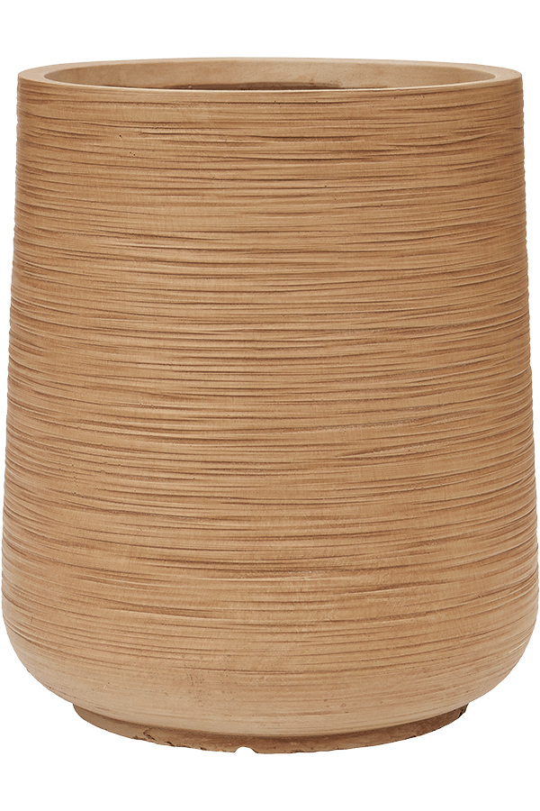Baq Dune Darcy Brown Beige