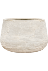 Baq Algar Darcy White