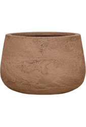 Baq Algar Darcy Brown