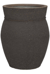 Mediterranean Apollo S Umber Brown