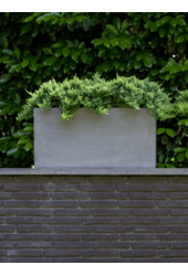Fiberstone Jort S Grey
