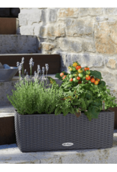 Lechuza Balconera Cottage 50 Zestaw All Inclusive Granit