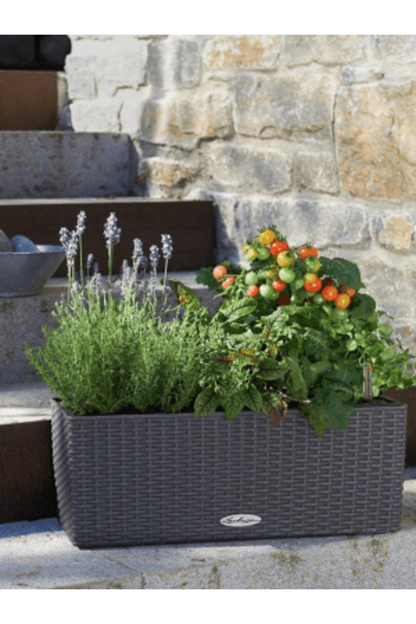 Lechuza Balconera Cottage 50 Zestaw All Inclusive Granit