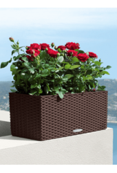 Lechuza Balconera Cottage 50 Zestaw All Inclusive Mokka