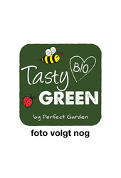 Rubus Tayberry Bio P19