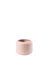 Anturium Zizou w Bologna Pastel