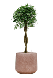 Baq Terrazzo Darcy Mocha