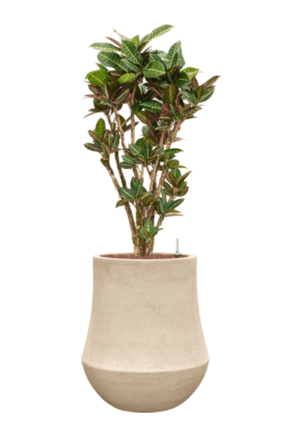 Baq Polystone Coated Plain Darcy Natural