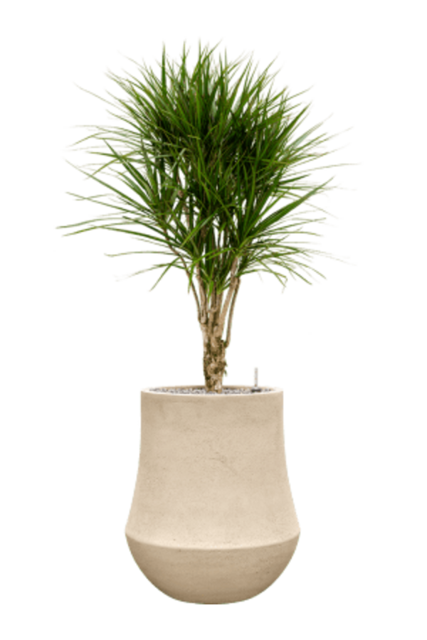 Baq Polystone Coated Plain Darcy Natural
