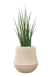 Baq Polystone Powlekany Gładki Darcy Naturalny