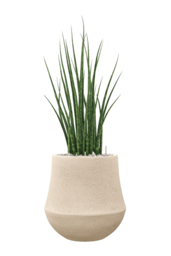 Baq Polystone Powlekany Gładki Darcy Naturalny