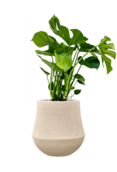 Baq Polystone Powlekany Gładki Darcy Naturalny