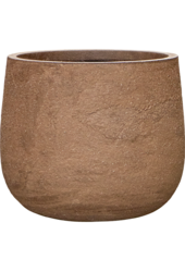 Baq Algar Darcy High Brown