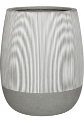 Ridged Perry L, Biały Pasek