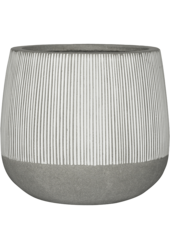 Ridged Pax M, Biały Pasek
