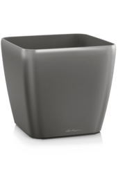 Lechuza Quadro Antracyt