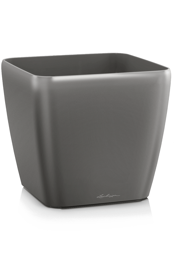 Lechuza Quadro Antracyt