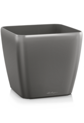 Lechuza Quadro Antracyt