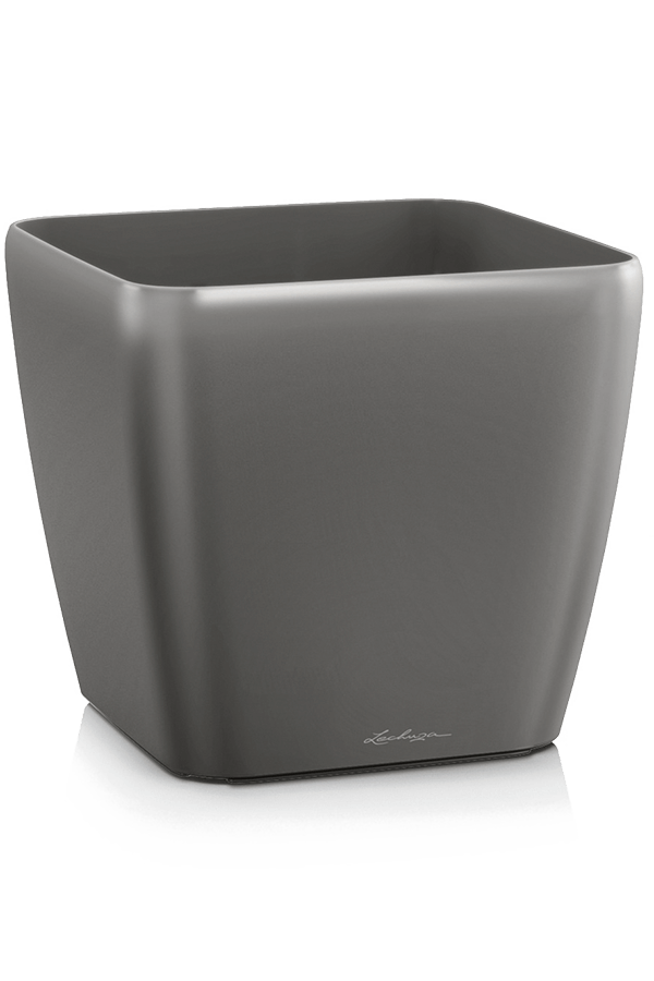 Lechuza Quadro Antracyt