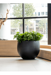 Fiberstone Jumbo Orb L Black