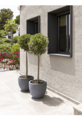 Fiberstone Jesslyn S Szary